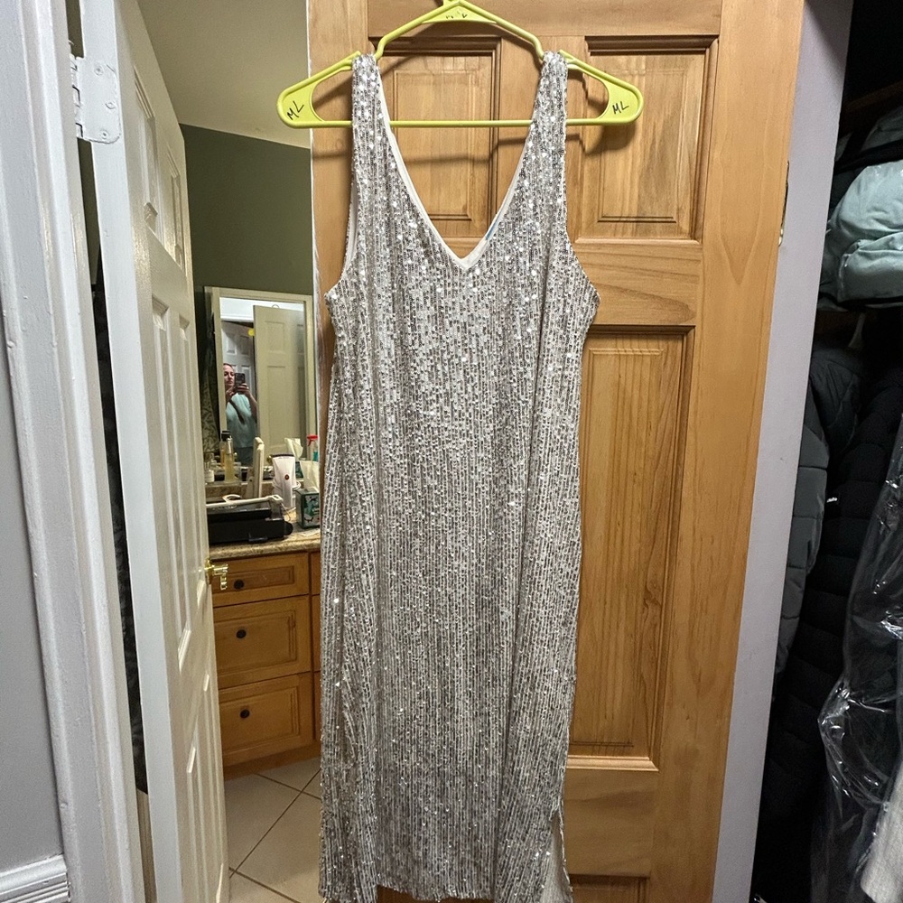 Elegant Silver Sequin Dress